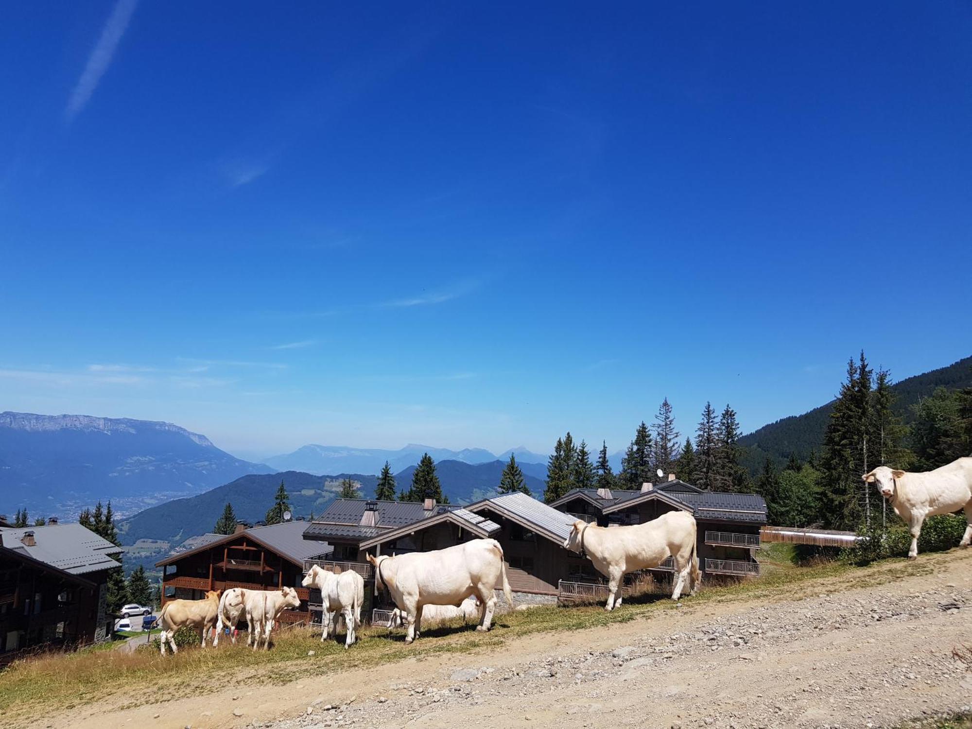 Les 7 Laux Immobilier Chalet E Prapoutel Eksteriør bilde